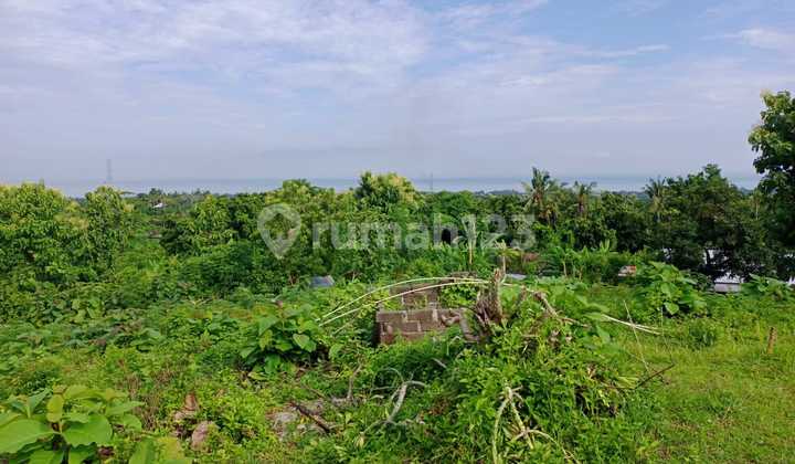 For Sale Land With Beautiful View In Lovina Area 2