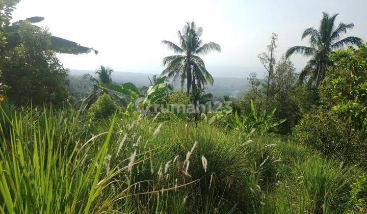 For Sale Ocean View Land In Panji Area And Many Waterfalls Around  1