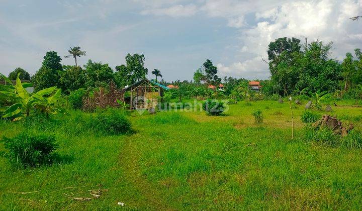 For Sale Land Good For Homestay And Villas Just 1 Km From Beach 1