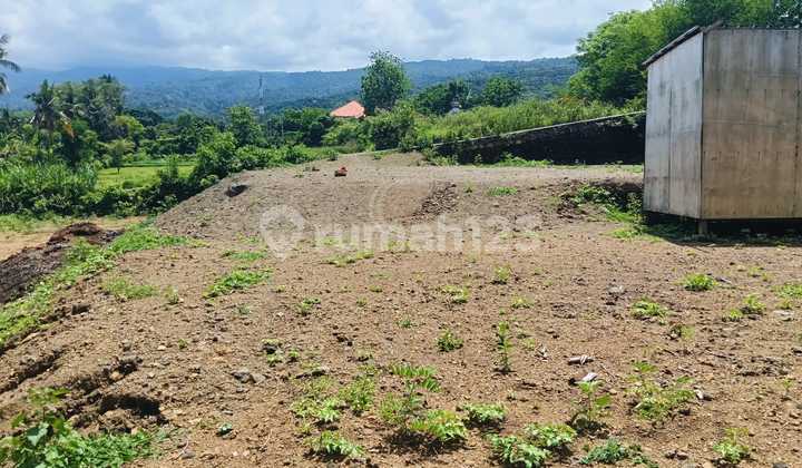For Sale Premium Land 3 Minute Drive To Central Lovina Good For Villa