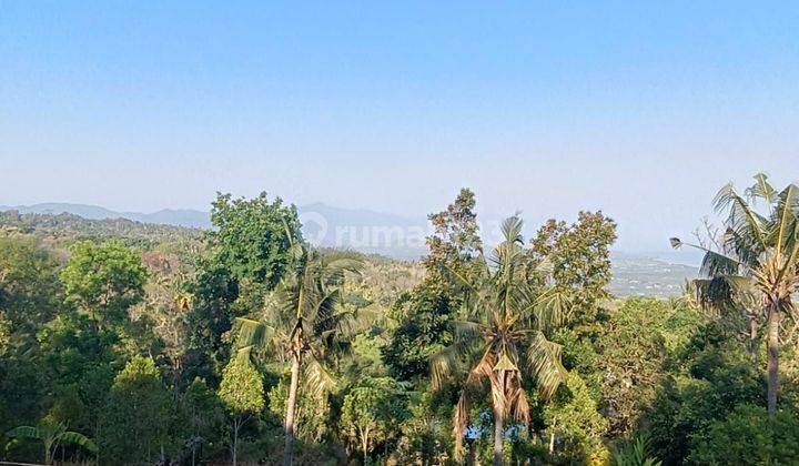 For Sale   Premium Land With Ocean View,Montain  On Asphalt Road Ready To Build  2