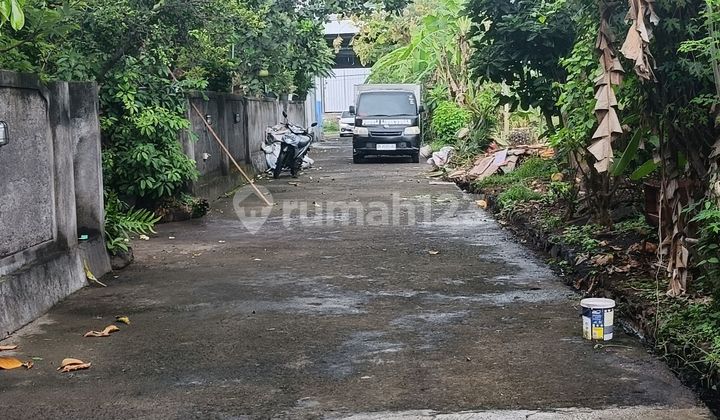 Di Jual 5 Are Lahan Dekat Kota Dan Pantai Di Lovina Bali