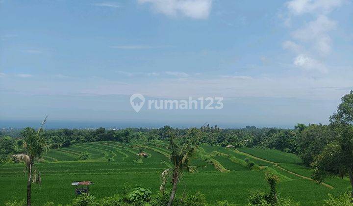 For Sale Flat Land With Fantastic 360° View To The Sea,terace Sawah,moutain And River Direc Owner