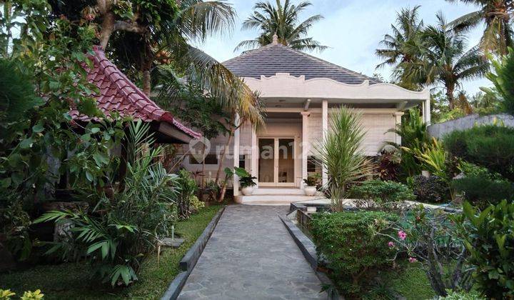 For Sale 2 Private Villa Near Lovina Beach And Aspal Road  2