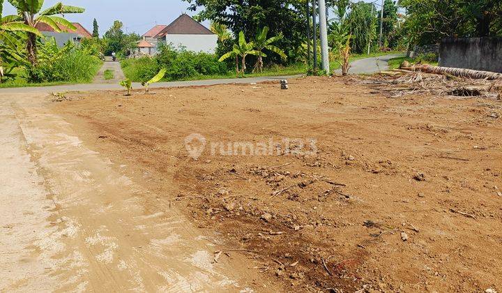 For Sale Land Close To Central Lovina Area Villas Just Walking Distance To The Central  2