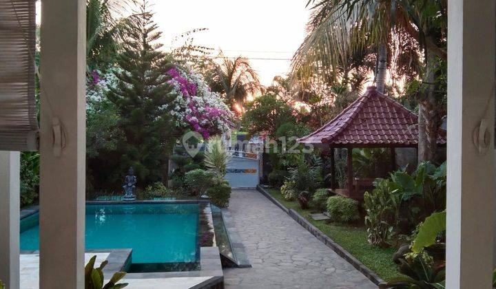 For Sale 2 Private Villa Near Lovina Beach And Aspal Road  1