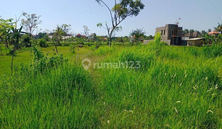 For Sale Land With Beautiful View And Good Acces Road Global Just 260 Juta 1