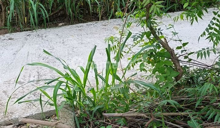 For Sale 9 Are Land In Central Pemutaran Good Diving And Snorking Area