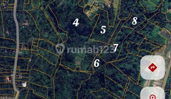 Land for Sale in Payangan Area, Ideal for Villas