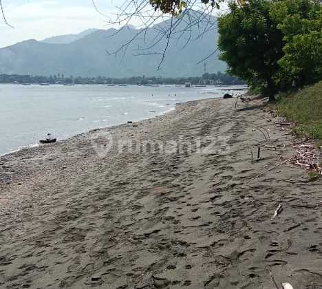 For Sale 2,5 Hektar Beach Front Land In Pemutaran Area Resort And Hotel