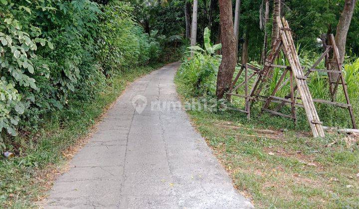 For Sale 5 Are Land With Jungle View Just 5 Minute Drive To The Beach  1