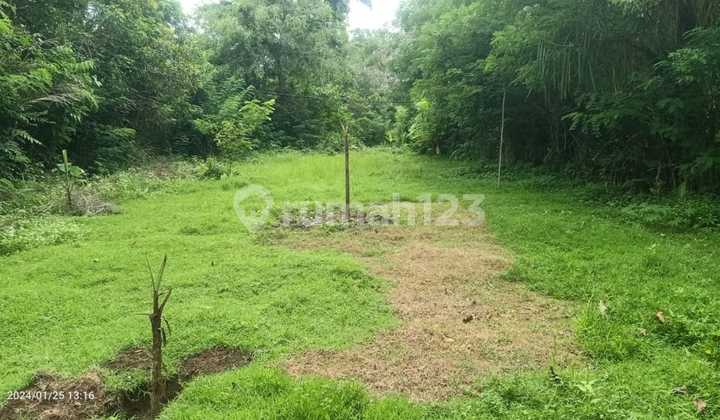 For Sale 6 Are Land Near Tirtagangga