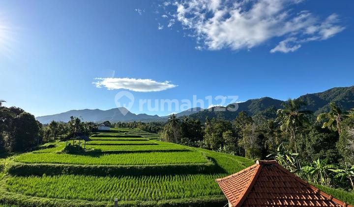 For Sale Villa With Rice Field and Ocean View In Quiet Area