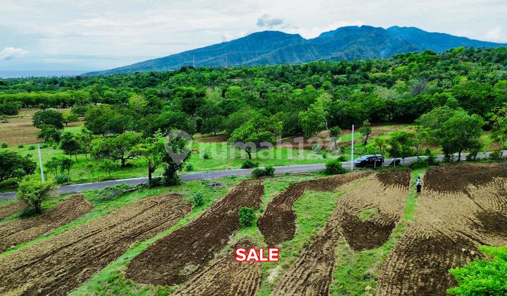 For Sale 5 Are Or 8 Are Land Area Amed With Fantastic View