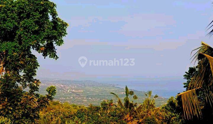 For Sale   Premium Land With Ocean View,montain  On Asphalt Road Ready To Build Sale Direct Owner  1