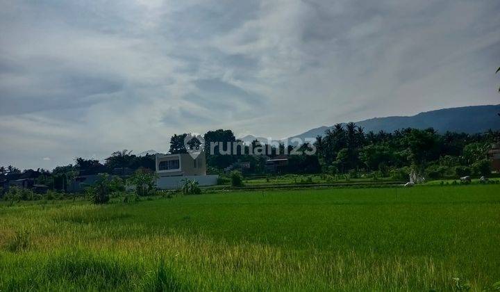 For Sale 400 M2 Land With Ricefild View And Mountain In Area Villas 2