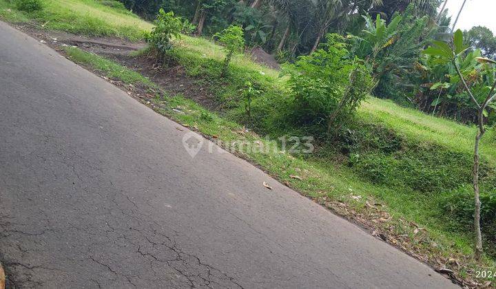 CHEAP LAND ON THE SIDE OF THE ASPHALT ROAD NEAR TAMAN UJUNG CICOK FOR VILLA AND BUSINESS 1