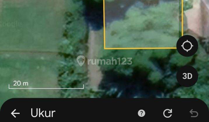 For Sale Land Good For Villa With Ricefield View Near To Lovina Central  2