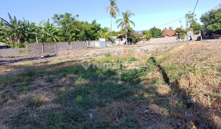 For Sale Premium Beach Front Land In Area Of Lovina 2