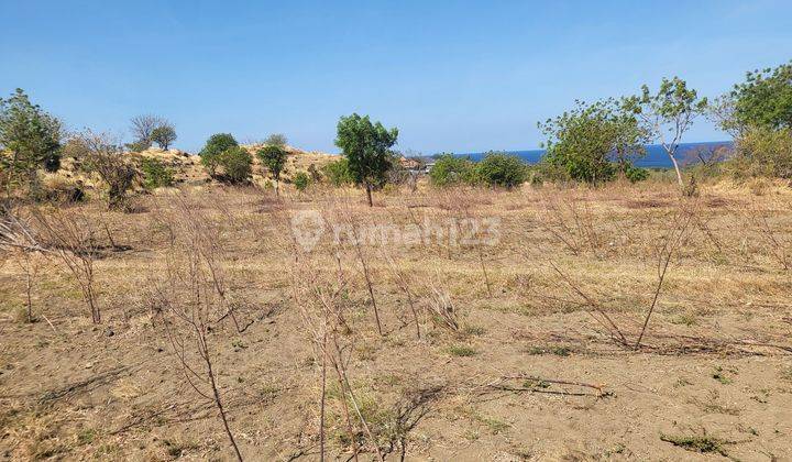 For Sale Land Ocean View Near Central Diving In Tulamben  1