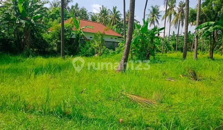 Dijual Lahan. Bagus Buat Villa Datar dan Area Villa