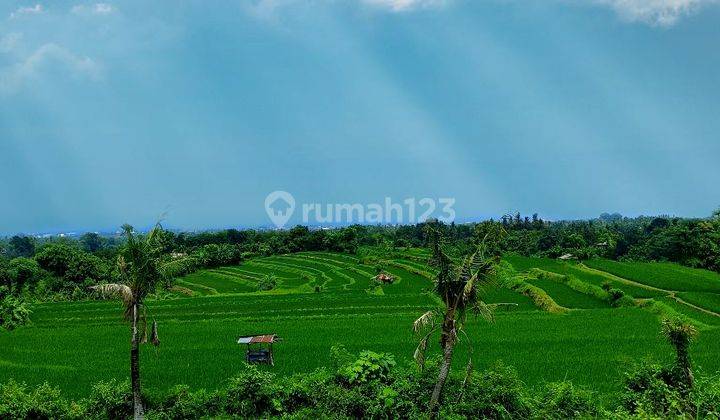 For Sale Flat Land With Fantastic 360° View To The Sea,terace Sawah,moutain And River Direc Owner