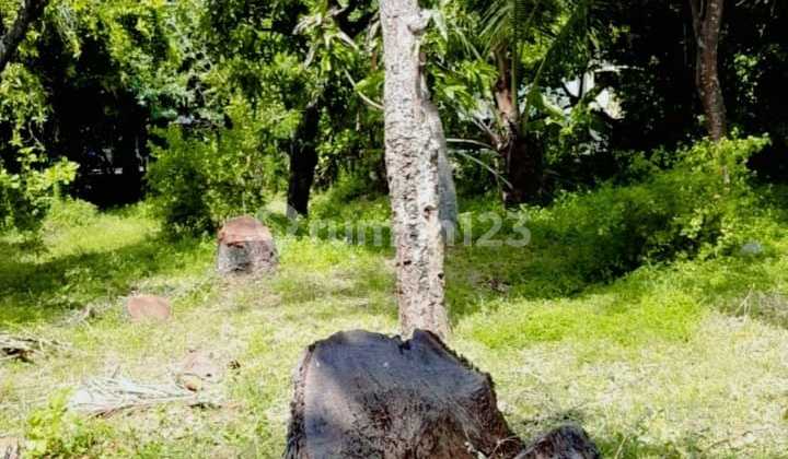 For Sale Beach Front Land In Area Kubutamhan 