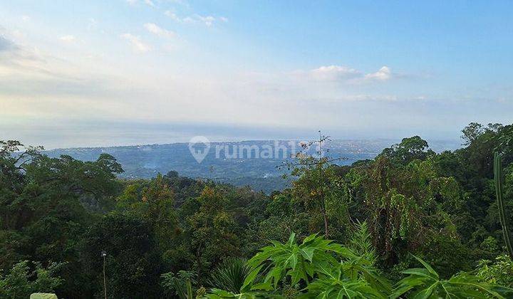 For Sale Ocean View Land And Building In The Hill Of Lovina And Waterfall View And Ocean  1