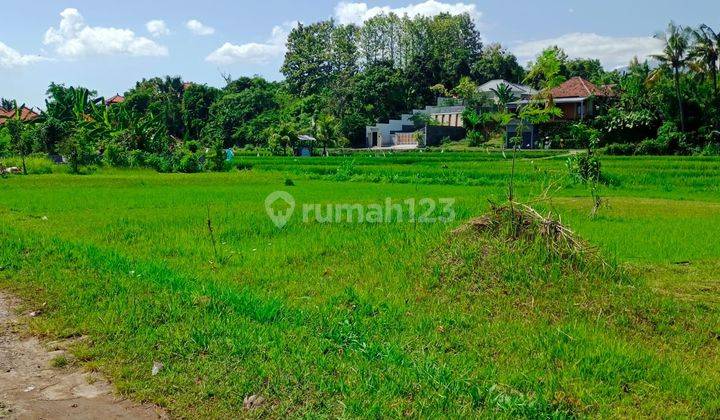 For Sale 3 Are Land With Fantastic Views To the Mountain And Ricefield View  2