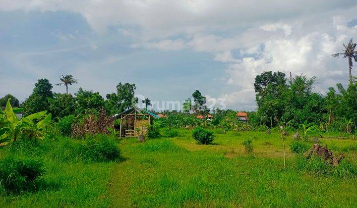 For Sale Land Good For Homestay And Villas Just 1 Km From Beach 2