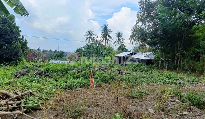 For Sale Premium Land Area Villa Just Walking Distance To The Beach