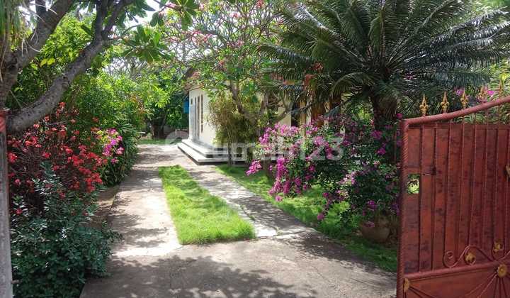 For Sale: Private 5 Are House in Pemutaran Central Near the Beach 2