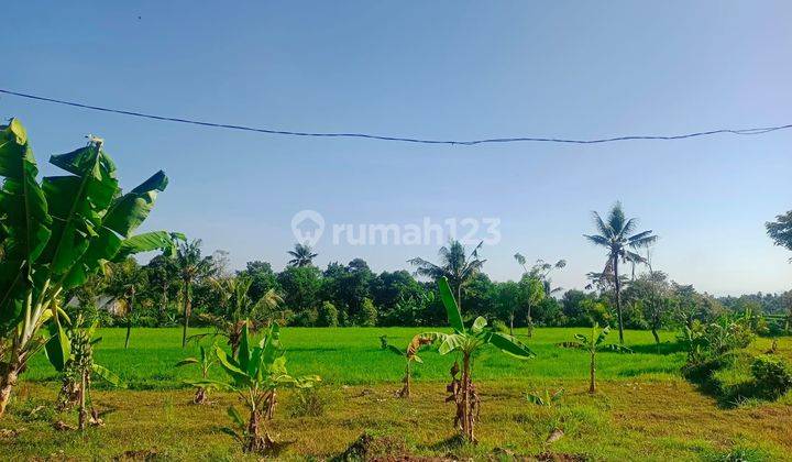 For sale fantastic views land  good for private villa or resort close to aling waterfall  2