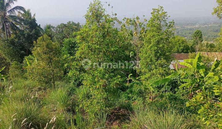 For Sale Ocean View Land In Panji Singaraja Good For Investment  2