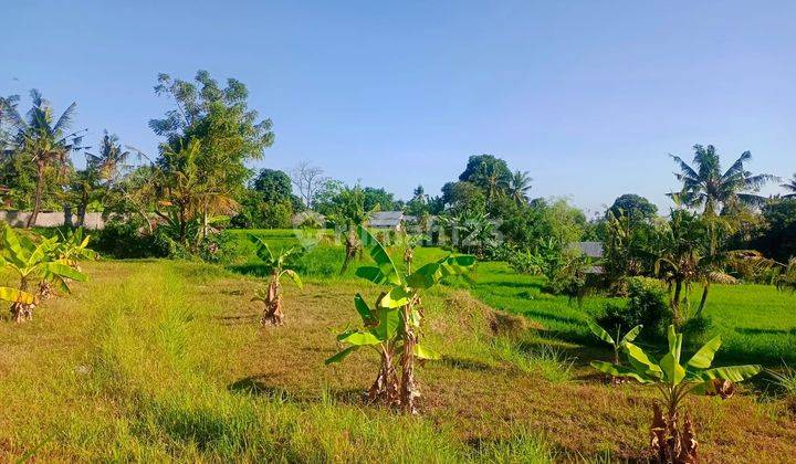 For sale fantastic views land  good for private villa or resort close to aling waterfall  1