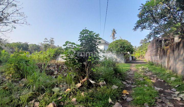 For Sale 3 Are Land On Area Villas Near Lovina Beach  2