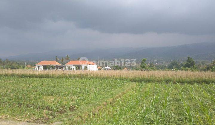 For Sale 7 Are Land In Central Lovina Just Walking Distance To The Beach 1