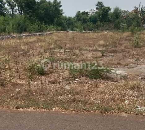 For Sale 10 Acres of Land in Pemutaran Bali Near the Beach For Sale 10 Acres of Land in Pemutaran Bali Near the Beach