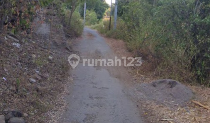 Di Jual 10 Are Lahan Bagus Di Pemutaran Bali