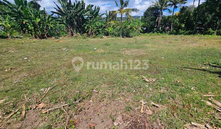 For Sale 12 Are Land Area Villa And 5 Minute Drive To Central Lovina