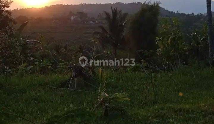 For Sale Land Good For Making Villa With Fantastic Views To Mountain Agung And Terace Ricefield  2