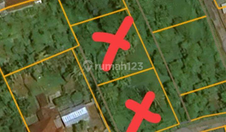 For Sale Good Land For Building Villa And Close To Central Lovina  2