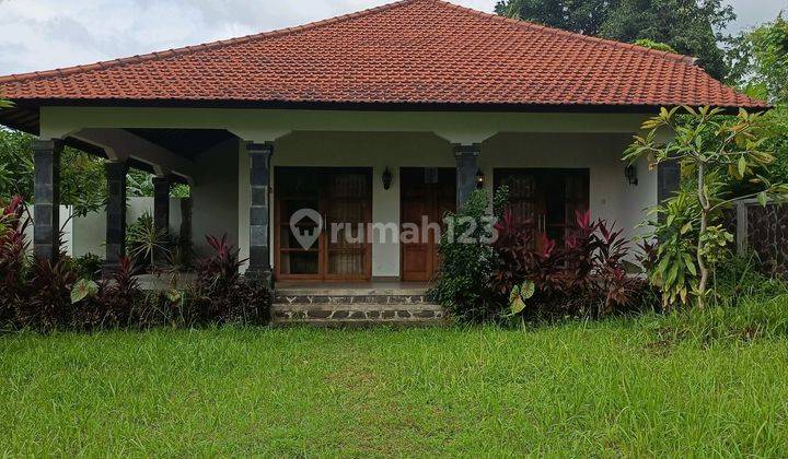 For Sale Semi Villa In Lovina With Ricefild View And Area Resort  1