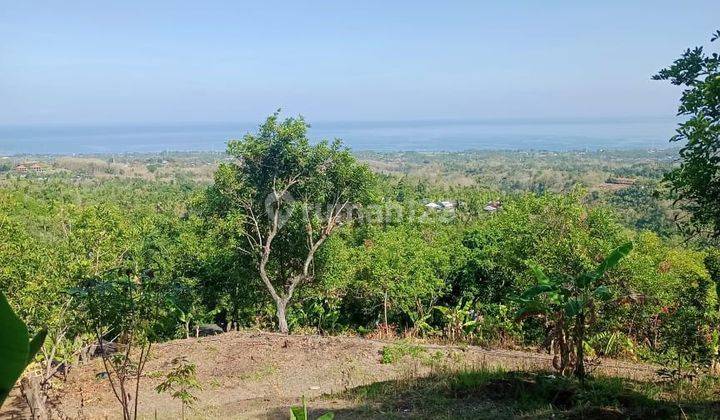 For Sale Ocean View Land N Ricefield View In The Lovina Area 2