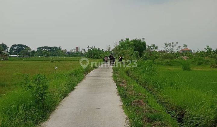 For Sale Land 4,7 Are With Ricefield And Mountain View In Lovina 2