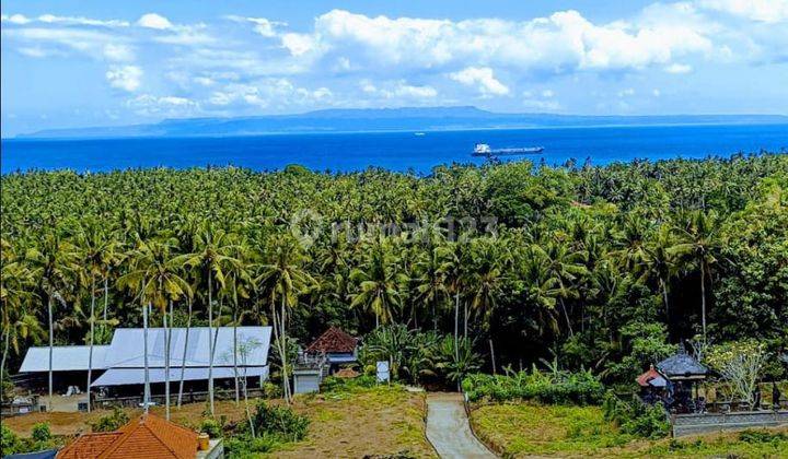 For Sale Ocean View Land In Candidase Close To Central And Good Acces Road  1