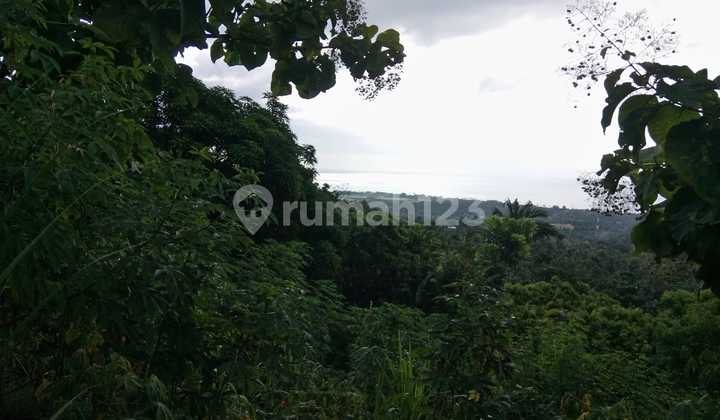 For Sale Global Land In Hillside Lovina With Ocean View