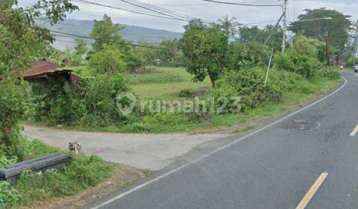 Di Jual Tanah di Jalan Utama Lovina Premium Lokasi Dekat Central Di Jual Tanah di Jalan Utama Lovina Premium Lokasi Dekat Central
