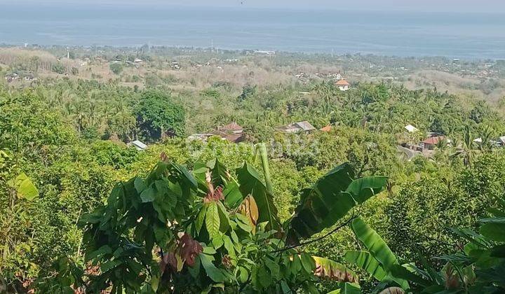 For Sale Ocean View Land N Ricefield View In The Lovina Area 1