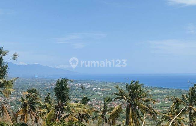 For Sale   Premium Land With Ocean View,montain  On Asphalt Road Ready To Build Sale Direct Owner  2